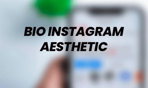 Bio IG Aesthetic new